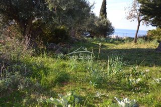 Αγροτεμάχια 4.638 τ.μ. για πώληση, Θεσπρωτία, Σύβοτα-thumb-10