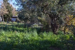 Αγροτεμάχια 4.638 τ.μ. για πώληση, Θεσπρωτία, Σύβοτα-thumb-12