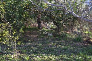 Αγροτεμάχια 4.638 τ.μ. για πώληση, Θεσπρωτία, Σύβοτα-thumb-13