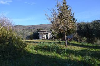 Αγροτεμάχια 4.638 τ.μ. για πώληση, Θεσπρωτία, Σύβοτα-thumb-17