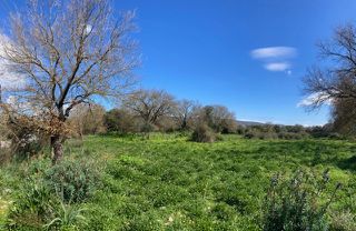 Οικόπεδο 7.000 τ.μ. πρός πώληση, Ν. Χανίων, Κρυονερίδα-thumb-3