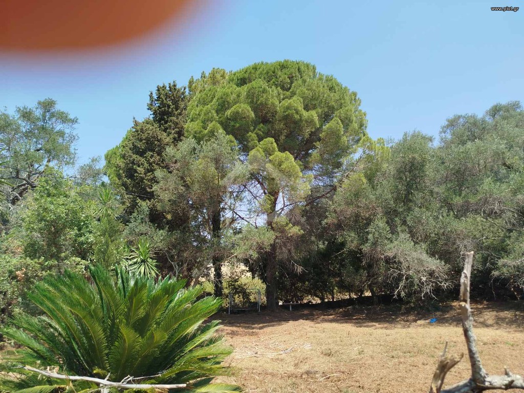 Οικόπεδο 1.261 τ.μ. προς πώληση, Αχίλλειο Κέρκυρας