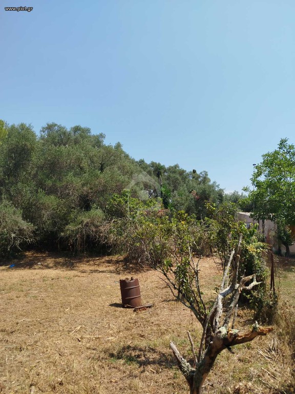 Οικόπεδο 1.261 τ.μ. προς πώληση, Αχίλλειο Κέρκυρας