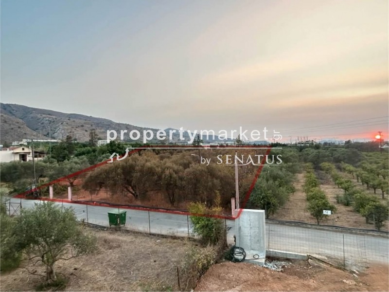 Οικόπεδο 1.620 τ.μ. προς πώληση, Κέντρο Χανίων