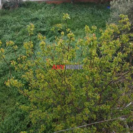 Συγκρότημα διαμερισμάτων 400 τ.μ. για πώληση, Θεσσαλονίκη - Υπόλ. Νομού, Άγιος Αθανάσιος
