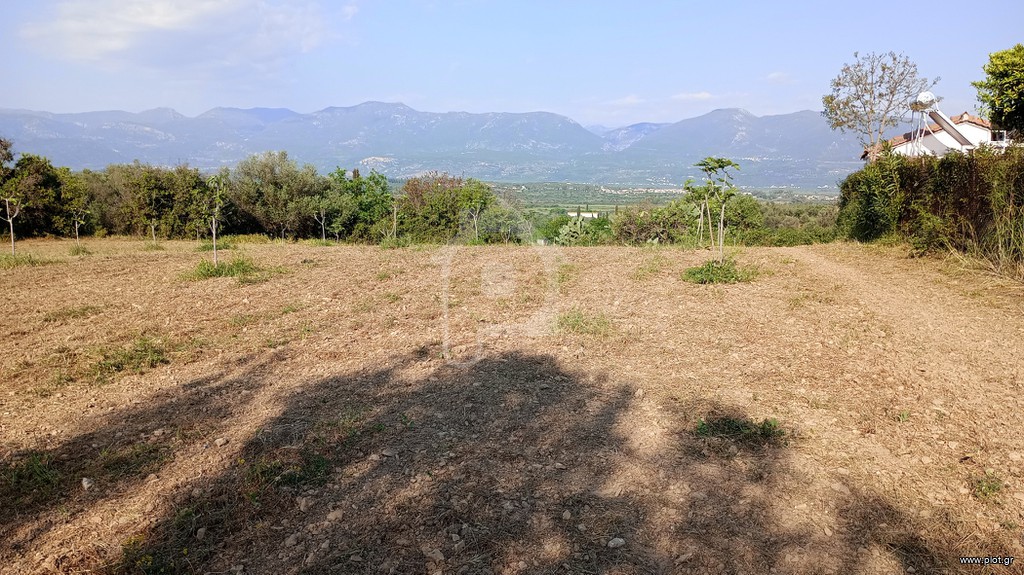 Οικόπεδο 4.000 τ.μ. προς πώληση, Αμφιθέα Ανδρούσας