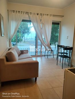 Studio 35 sqm for rent