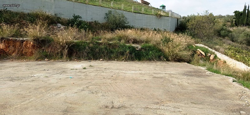 Οικόπεδο 2.400 τ.μ. πρός πώληση, Μαγνησία, Αισωνία