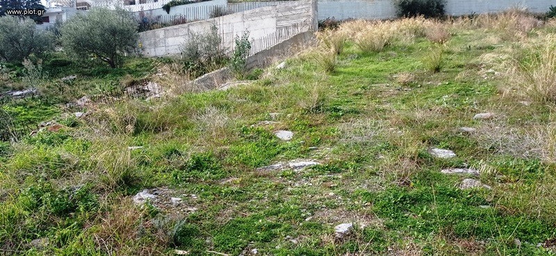 Οικόπεδο 2.400 τ.μ. πρός πώληση, Μαγνησία, Αισωνία