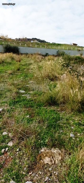 Οικόπεδο 2.400 τ.μ. πρός πώληση, Μαγνησία, Αισωνία