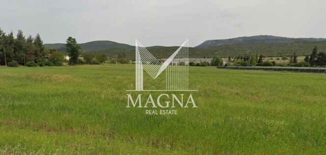 Αγροτεμάχια 9.250 τ.μ. για πώληση, Βοιωτία, Θήβα