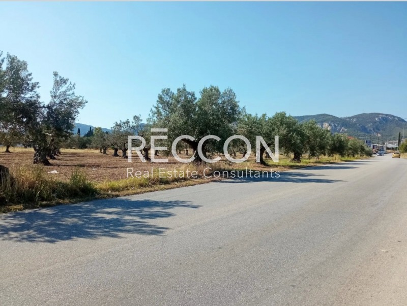 Αγροτεμάχια 4.840 τ.μ. προς πώληση, Εξαμίλια