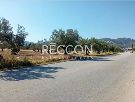 Parcel 4.840sqm for sale-Korinthos » Examilia