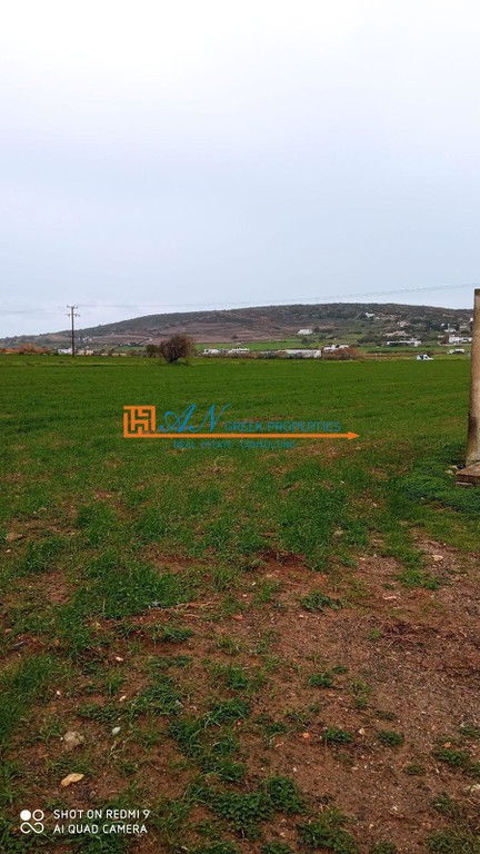 Οικόπεδο 10.500 τ.μ. προς πώληση, Ιστέρνι