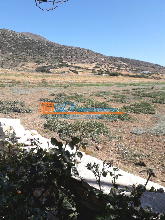 Οικόπεδο 1.000 τ.μ. προς πώληση, Άσπρο Χωριό