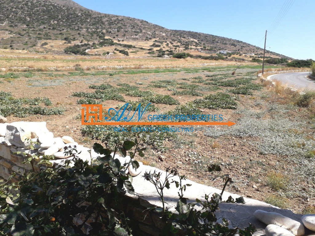Οικόπεδο 1.000 τ.μ. προς πώληση, Άσπρο Χωριό