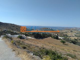 Αγροτεμάχια 7.660 τ.μ. για πώληση