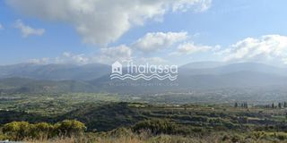 Οικόπεδο 2.963 τ.μ. για πώληση