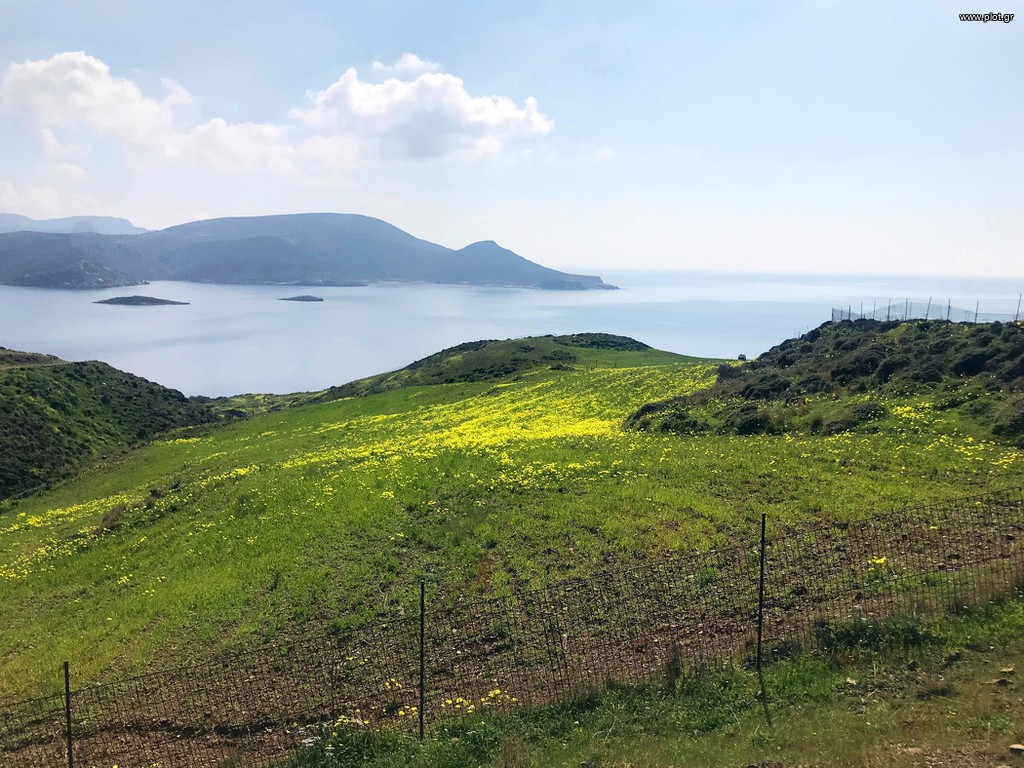 Οικόπεδο 4.195 τ.μ. πρός πώληση, Δωδεκάνησα, Λέρος