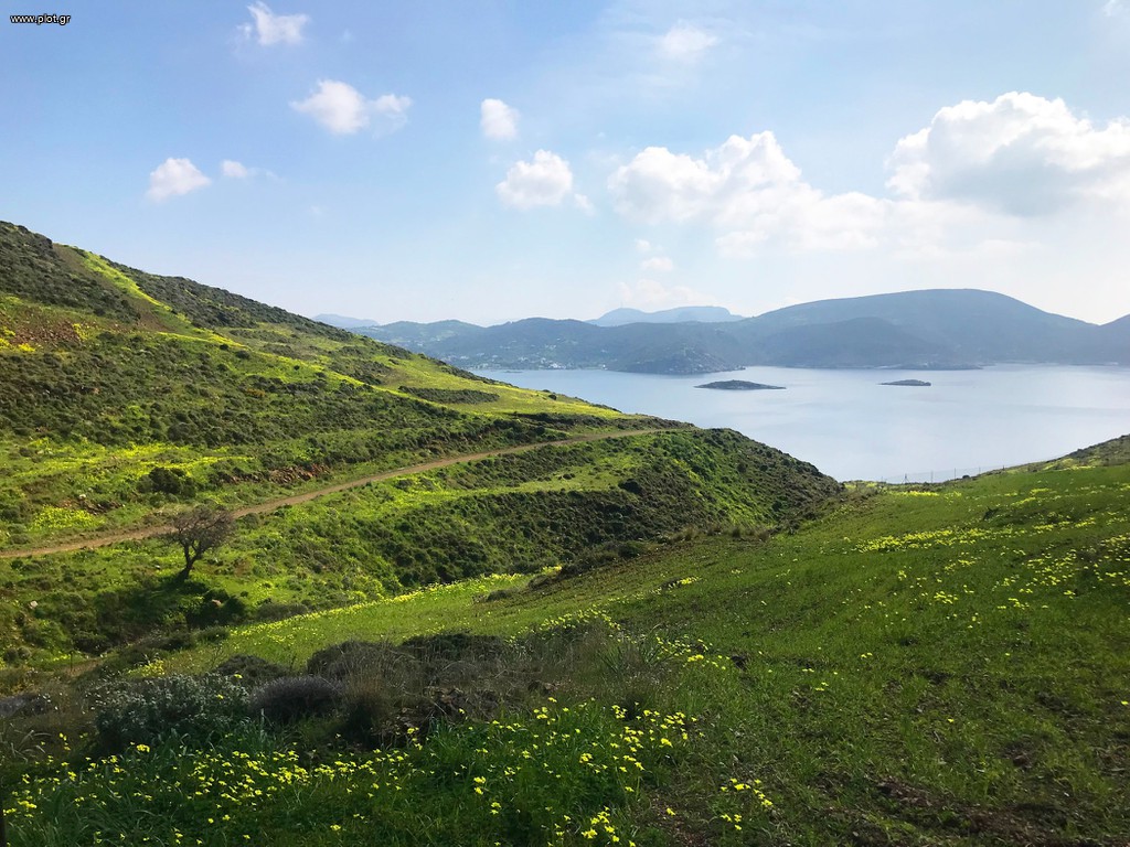 Οικόπεδο 4.195 τ.μ. πρός πώληση, Δωδεκάνησα, Λέρος