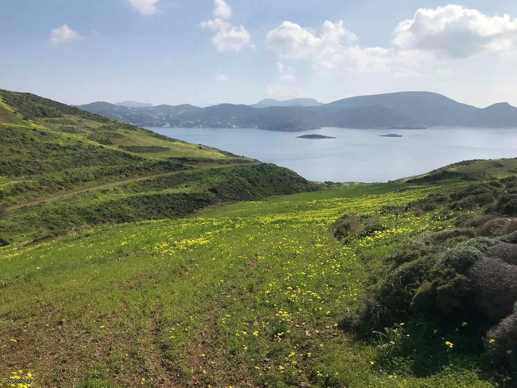 Οικόπεδο 4.195 τ.μ. πρός πώληση, Δωδεκάνησα, Λέρος