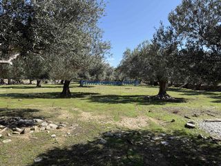 Οικόπεδο 6.025 τ.μ. για πώληση, Ν. Χανίων, Πελεκάνος-thumb-15