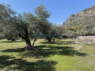 Οικόπεδο 6.025 τ.μ. για πώληση, Ν. Χανίων, Πελεκάνος-thumb-18