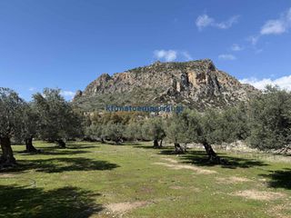Οικόπεδο 6.025 τ.μ. για πώληση, Ν. Χανίων, Πελεκάνος-thumb-19