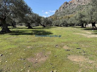 Οικόπεδο 6.025 τ.μ. για πώληση, Ν. Χανίων, Πελεκάνος-thumb-16