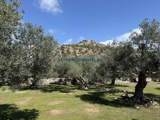 Οικόπεδο 6.025 τ.μ. για πώληση, Ν. Χανίων, Πελεκάνος-thumb-17