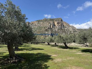 Οικόπεδο 6.025 τ.μ. για πώληση, Ν. Χανίων, Πελεκάνος-thumb-20
