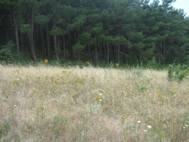 Οικόπεδο 1.020 τ.μ. πρός πώληση, Θεσσαλονίκη - Περιφ/Κοί Δήμοι, Μυγδονία