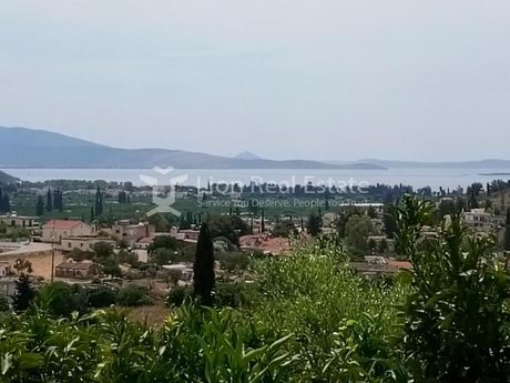 Οικόπεδο 11.500τ.μ. για πώληση-Ασίνη » Αγία παρασκευή