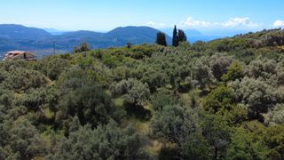 Οικόπεδο 2.308 τ.μ. για πώληση, Ν. Λευκάδας, Λευκάδα-thumb-11
