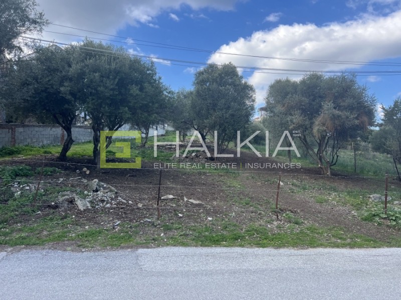 Οικόπεδο 591 τ.μ. πρός πώληση, Μαγνησία, Βόλος