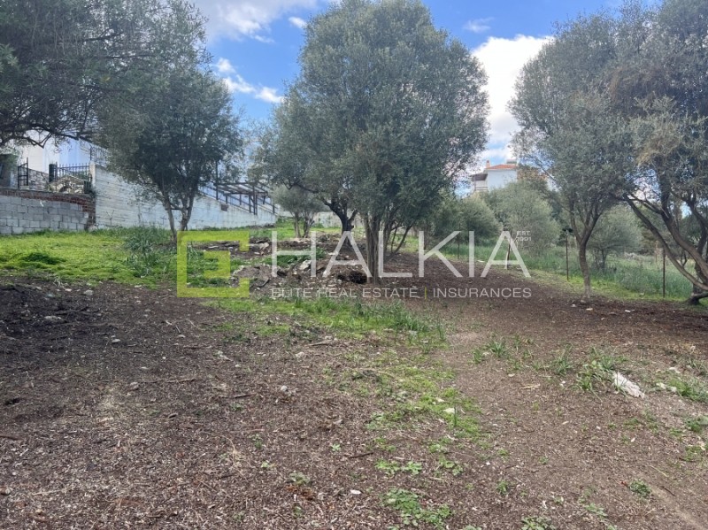 Οικόπεδο 591 τ.μ. πρός πώληση, Μαγνησία, Βόλος