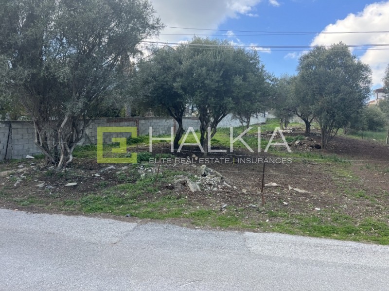 Οικόπεδο 591 τ.μ. πρός πώληση, Μαγνησία, Βόλος