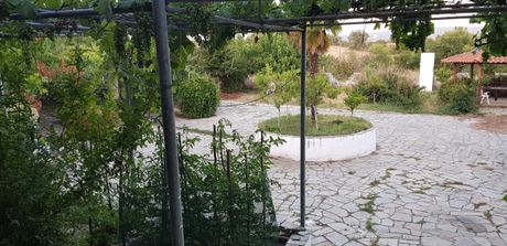 Μονοκατοικία 240τ.μ. για πώληση-Λαχανάς » Δορκάδα