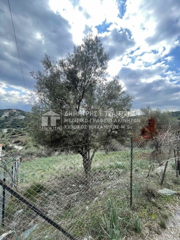 Οικόπεδο 631 τ.μ. πρός πώληση, Μαγνησία, Βόλος