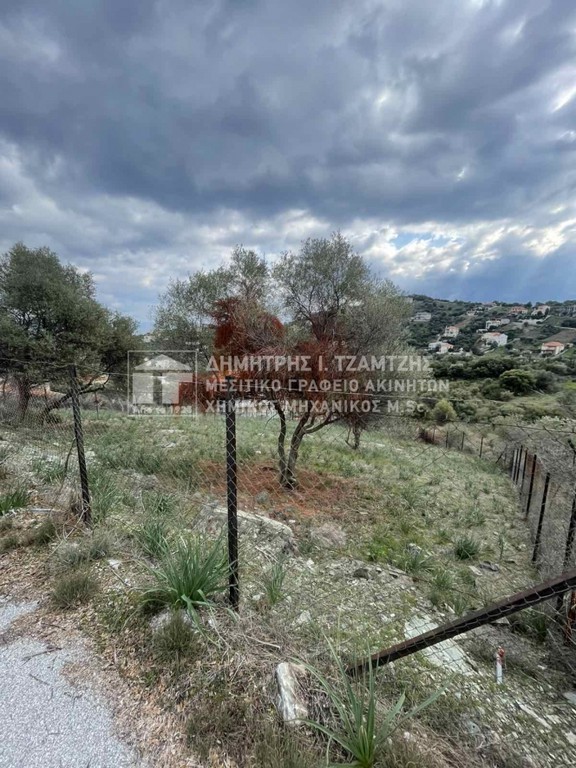 Οικόπεδο 631 τ.μ. πρός πώληση, Μαγνησία, Βόλος