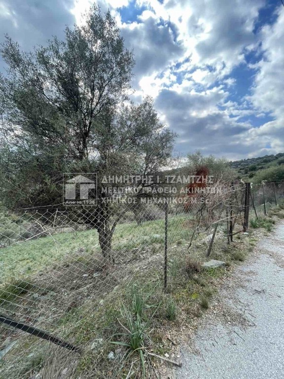 Οικόπεδο 631 τ.μ. πρός πώληση, Μαγνησία, Βόλος
