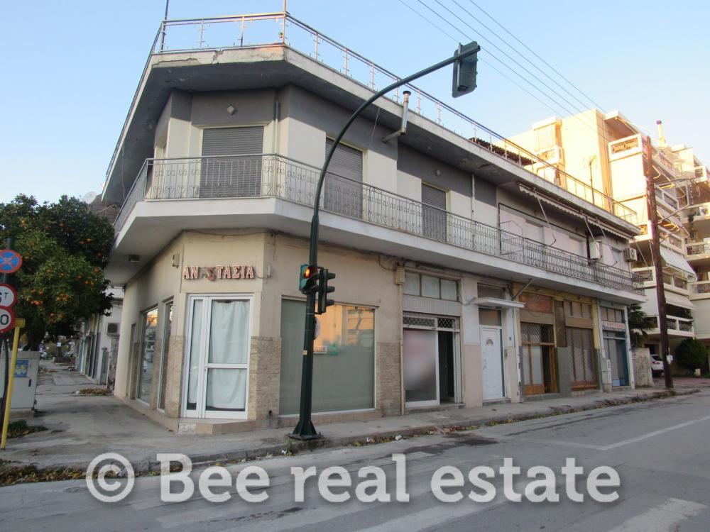 Επαγγελματικό 338 τ.μ. προς πώληση, Μαγνησία, Βόλος