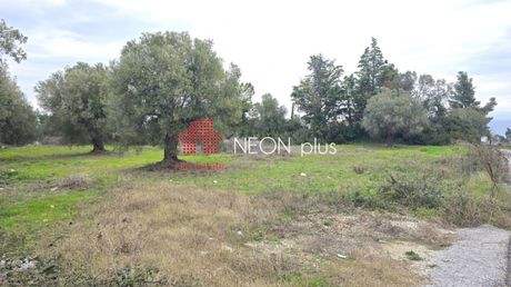 Αγροτεμάχια 1.460τ.μ. για πώληση-Κασσάνδρα » Κρυοπηγή