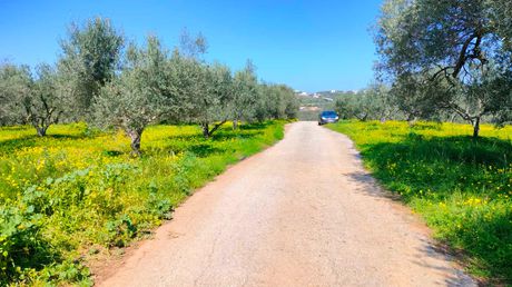 Parcel 3.900sqm for sale-Therisos » Perivolia