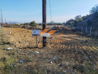 Αγροτεμάχια 2.000 τ.μ. για πώληση