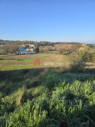 Land plot 1.183 sqm for sale, Chalkidiki, Kassandra