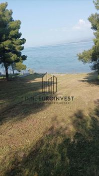 Αγροτεμάχια 971τ.μ. για πώληση-Λιχάδα