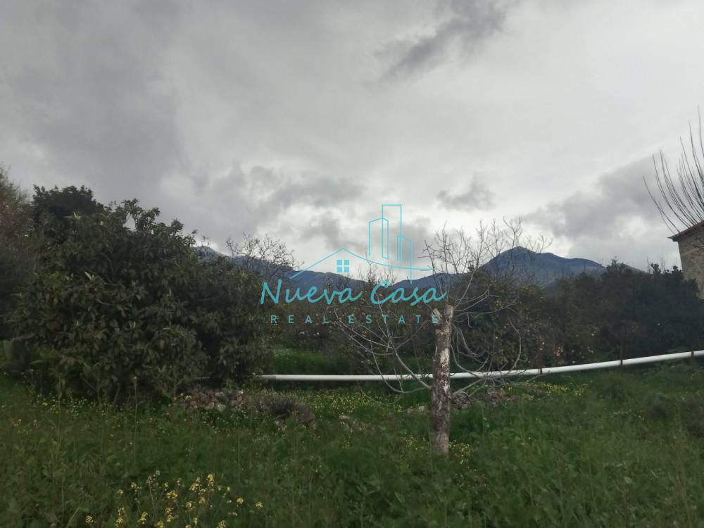 Οικόπεδο 560 τ.μ. πρός πώληση, Μεσσηνία, Λεύκτρος