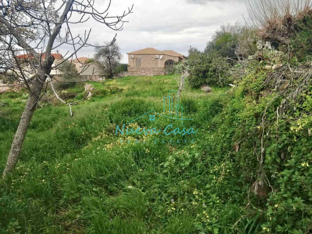 Οικόπεδο 560 τ.μ. πρός πώληση, Μεσσηνία, Λεύκτρος