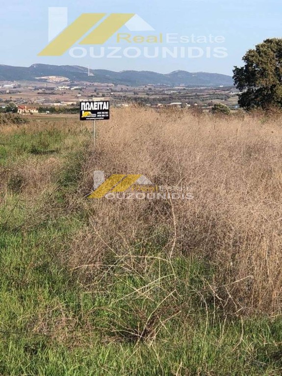 Αγροτεμάχια 6.700 τ.μ. προς πώληση, Μεταμόρφωση Σωτήρος Αλεξανδρούπολης
